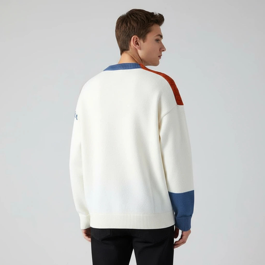 Pullover Sweater Colorblock Long Sleeve | Everyday Wear